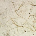 MADOCA-Set 3 Sorten – Bild 4