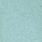 WARLON SHEET WS-245