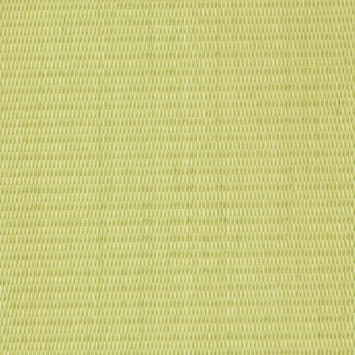 Tatami-Daiken-saien01_1440x1440-100 SAIEN 01 – Bild 1